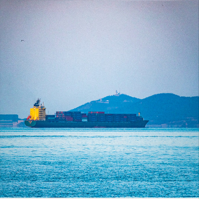 Door To Door Ddu Ddp Sea Freight Logistics Service From China To St Petersburg